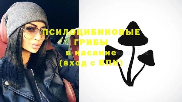COCAINE Богородицк