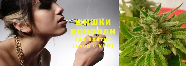 каннабис Богданович