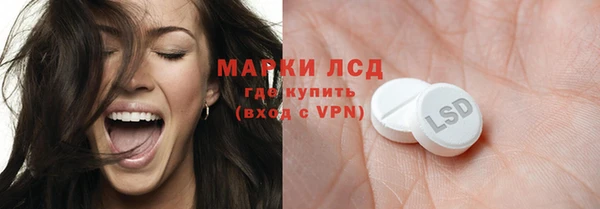 гидра Богородск