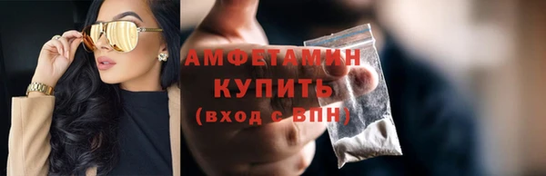 гидра Богородск