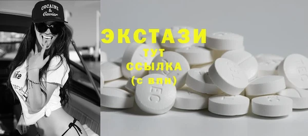 гидра Богородск