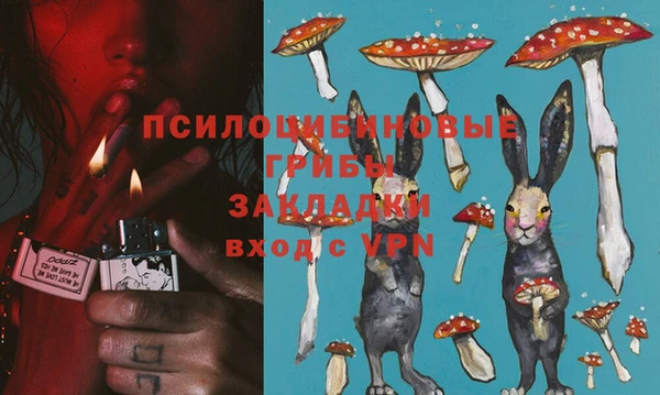 каннабис Богданович