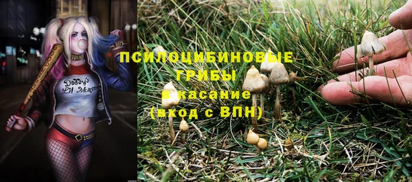 COCAINE Богородицк