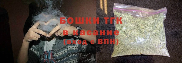 гидра Богородск