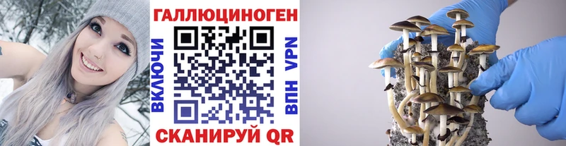 продажа наркотиков  Касимов  Псилоцибиновые грибы мицелий 